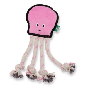 Pulpo