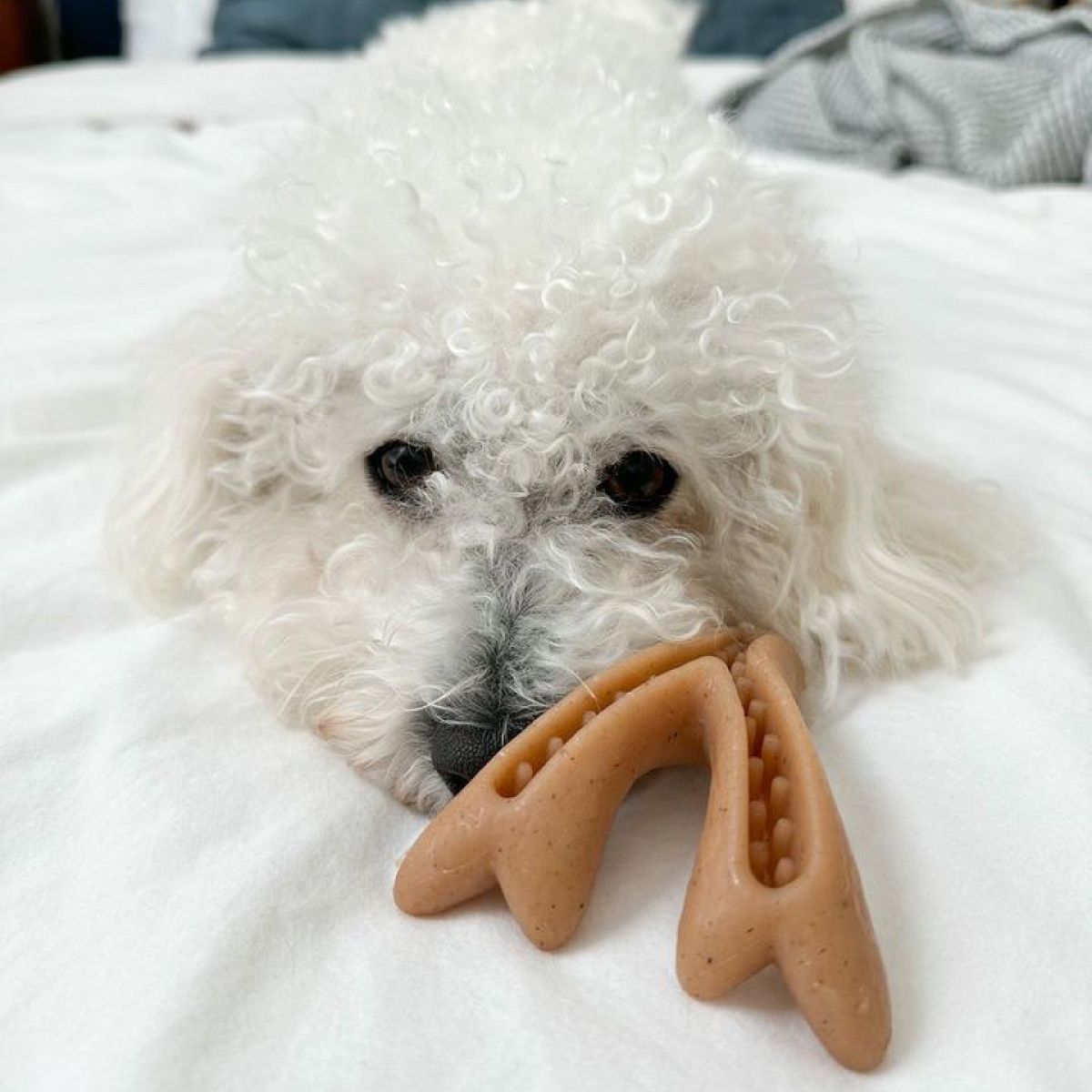 Juguete Masticable Antler - Imagen 5
