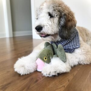 Peluches Animados