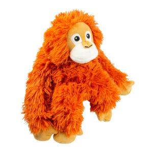 Orangután