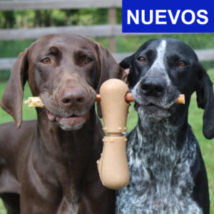 Nuevos